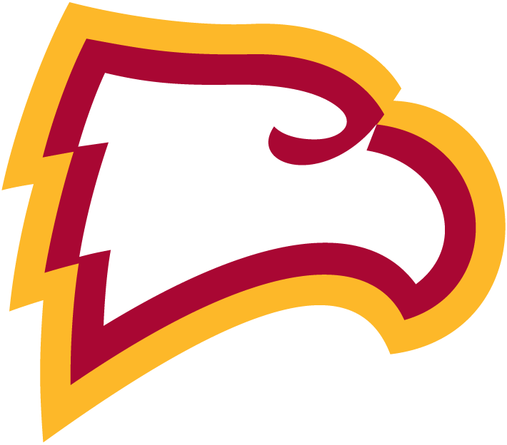 Winthrop Eagles 1995-Pres Primary Logo iron on paper